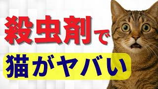 猫 飼ってる人は絶対に見て！殺虫剤使ってませんか？