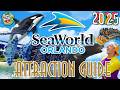 SeaWorld Orlando RIDES ATTRACTIONS 2025 Theme Park Zoo Aquarium In Florida