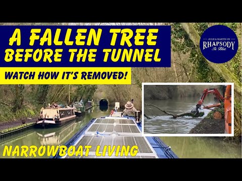 A FALLEN Tree, A KINKY Tunnel…and HELP at the Locks! | NARROWBOAT Living Ep203