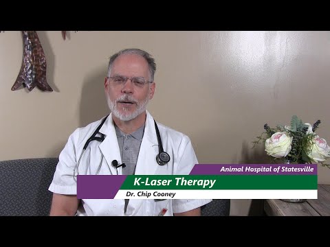 K-Laser Therapy