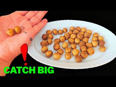 Catch More Carp 🐟 | Homemade Fishing Boilies Recipe for Carp Fishing