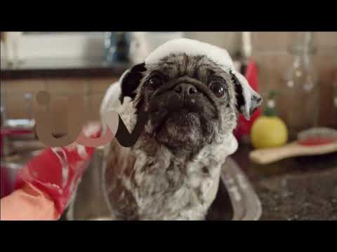 ITV HD - Pugwash ident - Final TX - Tuesday 1st January 2019 - 1080p HD