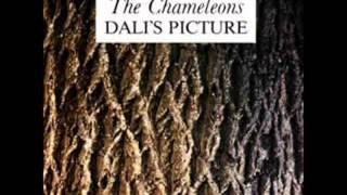 The Chameleons - Dali's Picture (complete original demo)