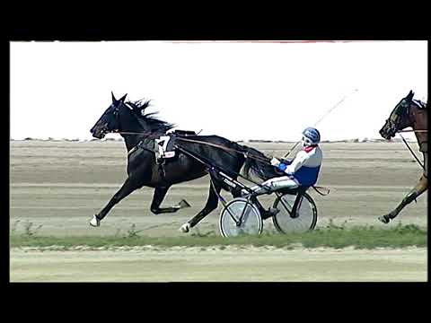 Napoli Trotto 28/03/2021 - 2ª corsa