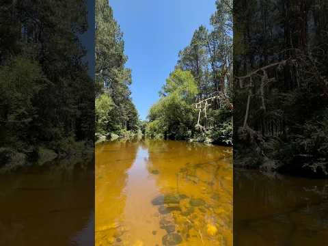 Calamuchita, el Camping de Pescadores con Mosca y Desafío a Los Reartes MTB