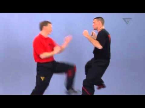Preview: Sifu Niko DVD 01 - Basic Levels 1-4