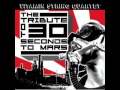 The String Quartet Tribute To 30 Seconds To Mars: Capricorn