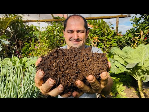 CHOOSING CURED CHICKEN MANURE - IT'S THE MOST POTENT MANURE I KNOW