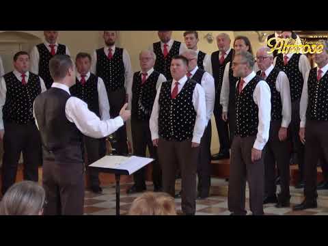 Am Bachle (live) - MGV Almrose Radenthein 2025