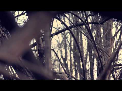 Bravestation | White Wolves (Official Video HD)