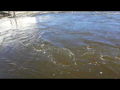 Fluid Mechanics Streamline Video