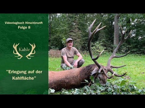 Erlegung auf der Kahlfläche - Reinholds erster Hirsch