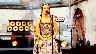 Classic Chinese Concert Party