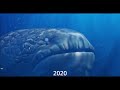 Evolution of the bloop 2000 - 2030 #evolution