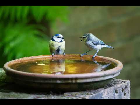 Sõna jõud. Sõna vägi. Malle Jürilo