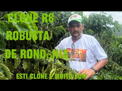 Clone (R8).e café puro 