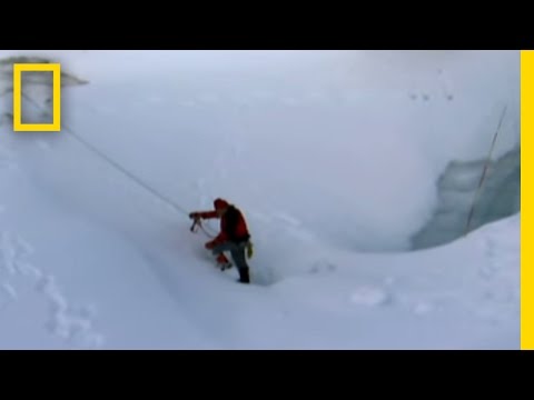 Ice Worms | National Geographic