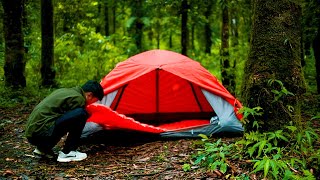 Download lagu Camping Sendiri Di Tengah Hutan Gunung Slamet mp3