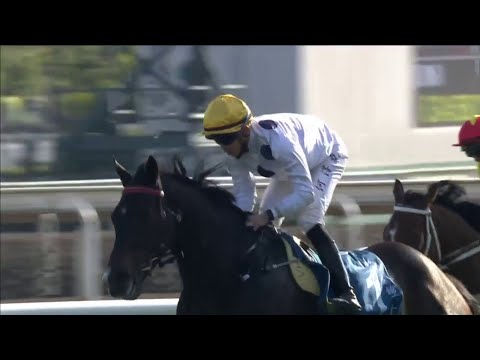 Golden Sixty is BACK to his brilliant best in the Stewards' Cup at Sha Tin! 🤩