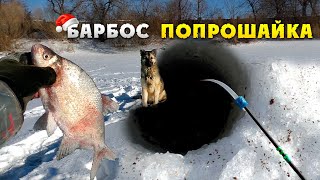 Фотошаблон зимняя рыбалка