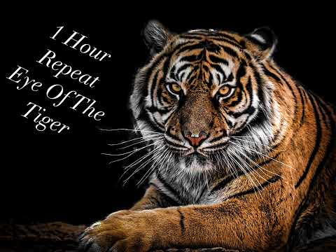 Eye Of The Tiger (1 hour repeat)