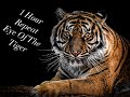 Eye Of The Tiger 1 Hour Repeat