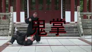 Dealing with the hook punch using Ghost Hands Dim Mak method