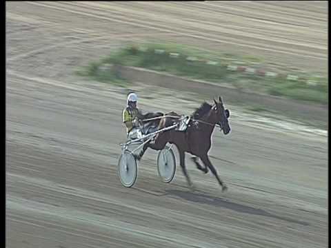 Trotto 19/05/2017 - prova di riqualifica