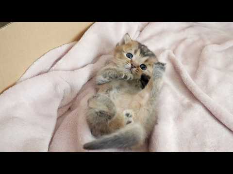 YouTube 썸네일