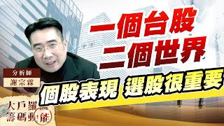 一個台股 二個世界 個股表現 選股很重要 (圖)