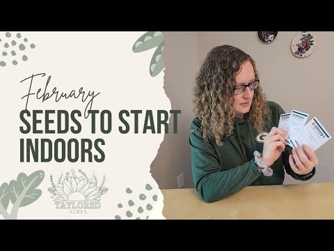 My February Seed Starting Plan in Wisconsin Zone 4B