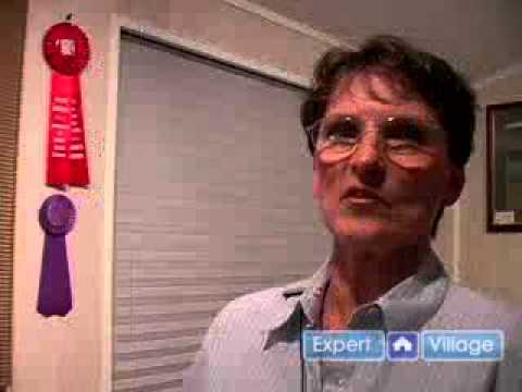 How to Paint a Rooster with Watercolors