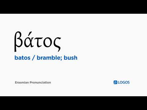 How to pronounce Batos in Biblical Greek - (βάτος / bramble; bush)