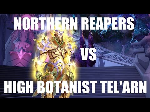 Northern Reapers - Heroic High Botanist Tel'arn - Mistweaver Monk PoV