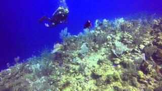 preview picture of video 'Feb 2014 - Scuba Diving Roatan, Honduras'
