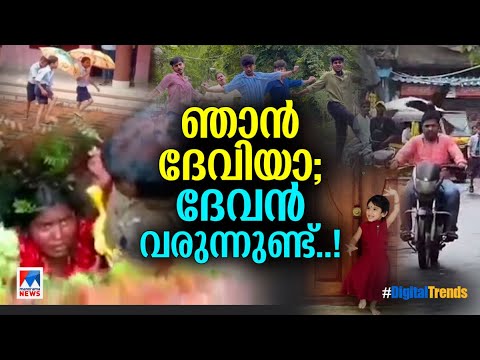 റോഡിലൂടെ നടന്നുപോകുന്നവര്‍ക്ക് കൊത്ത് കൊടുക്കുന്ന കാക്ക | Digital Trends | Viral Reels