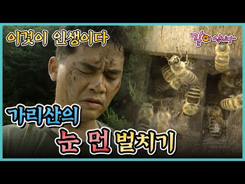 , title : '[이것이 인생이다] 가리산의 눈 먼 벌치기 | KBS 1998.06.18. 방송'