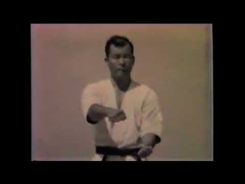 Goju Ryu [Suparinpei Kata] performed by Master Yushun Tamaki.