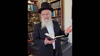 יש משמעות לקינות ומגילת איכה בימינו? | הרב שמואל אליהו | ט' אב תשפ"ד (הרב שמואל אליהו) - התמונה מוצגת ישירות מתוך אתר האינטרנט יוטיוב. זכויות היוצרים בתמונה שייכות ליוצרה. קישור קרדיט למקור התוכן נמצא בתוך דף הסרטון