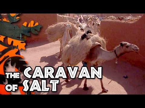 The caravan of salt