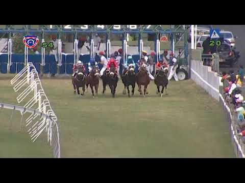 RM5 R4 | Ninotto | D.David