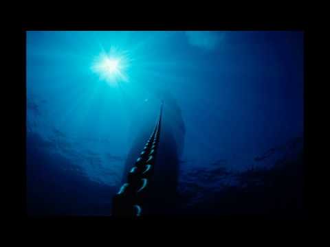 Benzo 0161 - Timeless