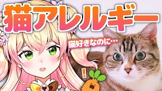 『大好きなのにアレルギー』寂しい思いをするねねちをねっ子たちが持ち前のギャグで励ます動画【桃鈴ねね ホロライブ 切り抜き動画】