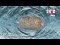 Відео Пва-сітка Katran PVA mesh refill 25mm 25m