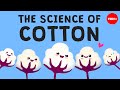 Why Is Cotton In Everything Michael R Stiff