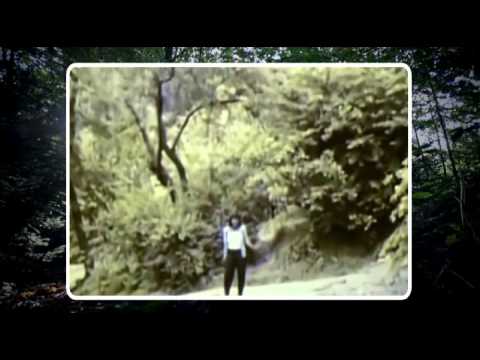 Stephanie Mills - Never knew love like this before (Ruud's Extended Edit)