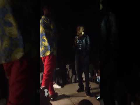 Color-one LANMOU PASYONE