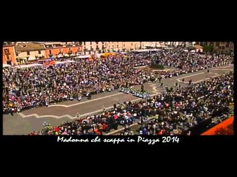MADONNA CHE SCAPPA IN PIAZZA 2014