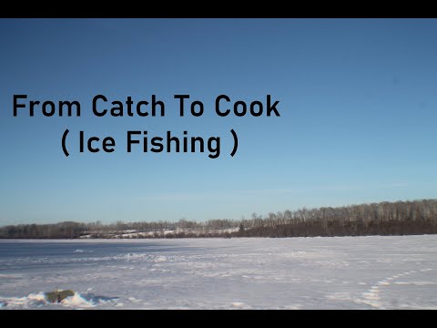 From Catch To Cook ( Ice Fishing )