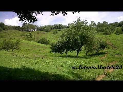Guayabo en la Ye - Super Banda de Colomboy / Cordoba.
